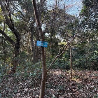 そしてお姫山へ。
姫さん👸はこんな所までこれませんって（笑）