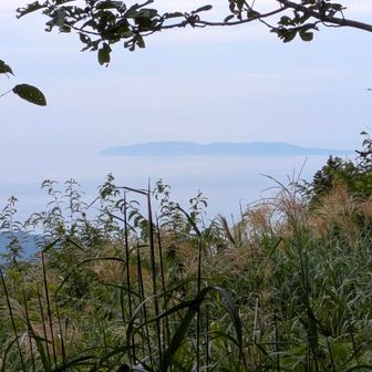 山頂からの粟島