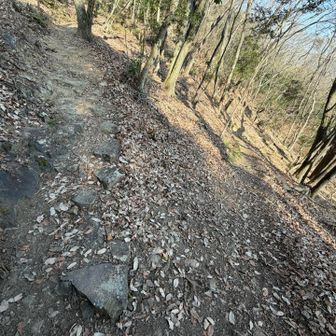 下山は別コースへ