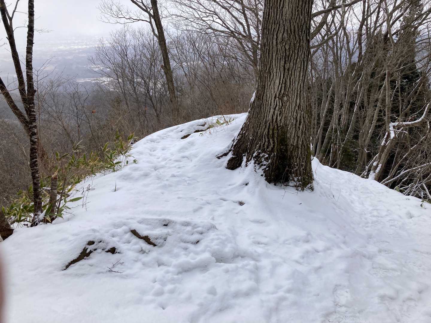 西音森山-宇津峰 周回コースの写真