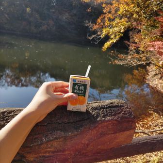 湖畔で小休憩🍊