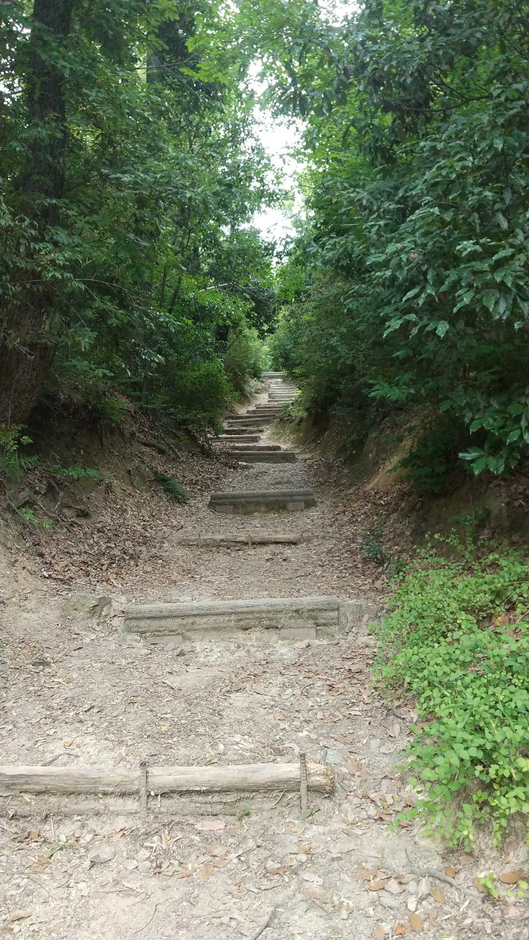 整備されてます。こんな階段多いです。