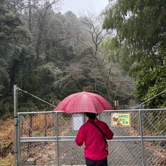 ゴール　あー楽しかった。明日は僕1人です。YAMAPにようこちゃん掲載されてるの内緒にして下さい。ようこちゃん知りません。
