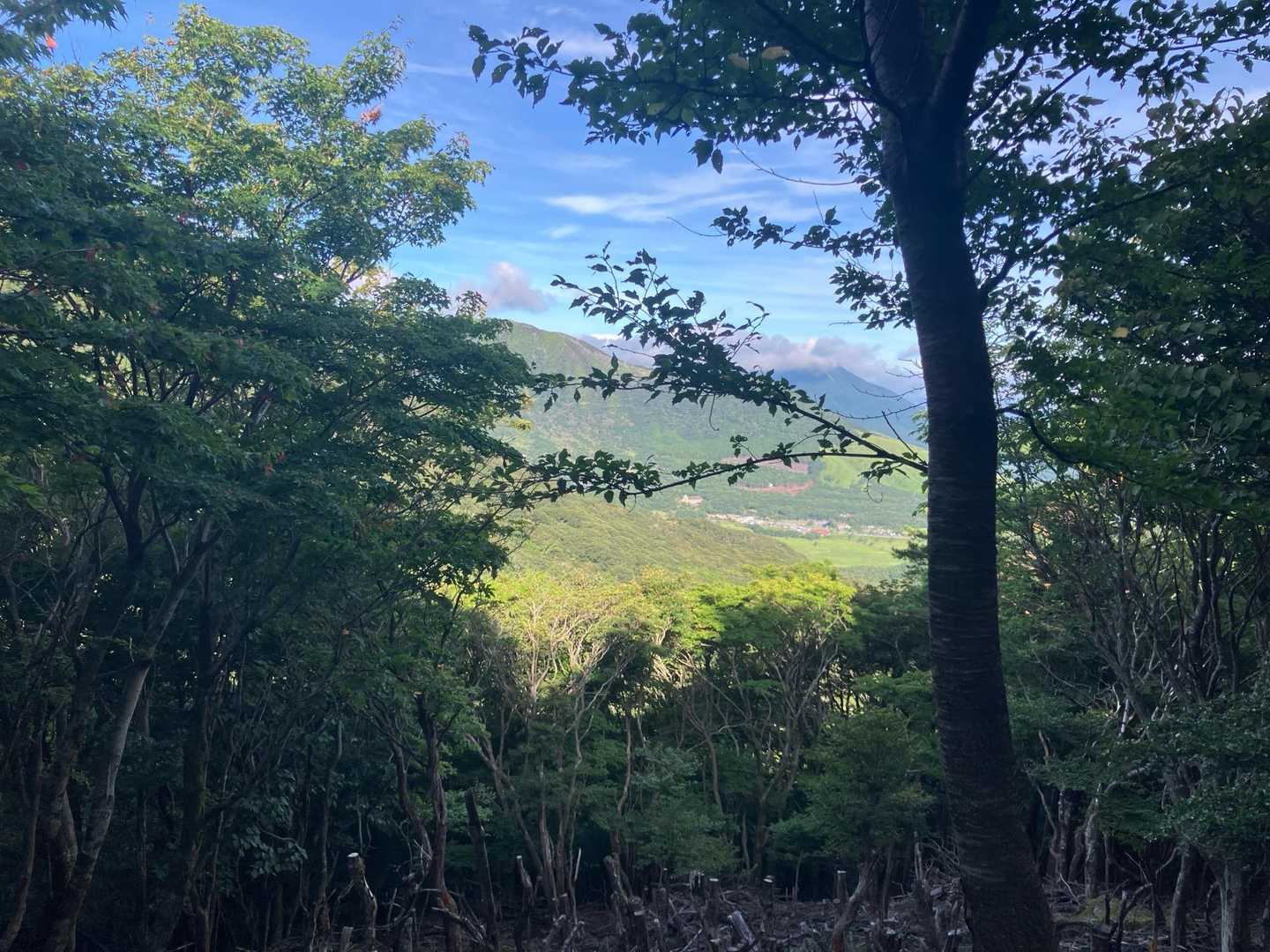 くじゅう登山口-雨ヶ池越-三俣山登り口-坊ガツル炊事場-大 往復コースの写真