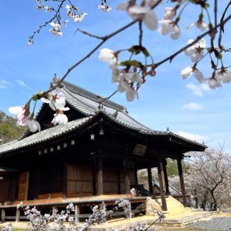 以前訪れた時は、平安時代作の重要文化財・聖観音菩薩像や、他ではおそらく観たことがない剣に巻き付いての見込もうとしている龍の剣（倶利伽羅剣）などを拝ませていただいた。