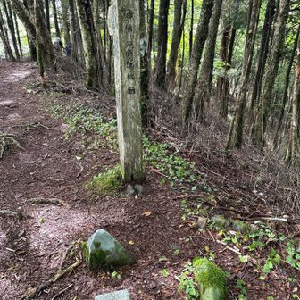 山頂