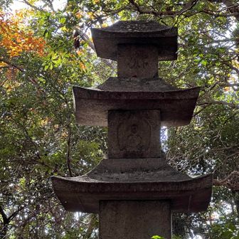 ここの奥が清閑寺山です。

ここも、そばを通るだけでゲットできますね🔺