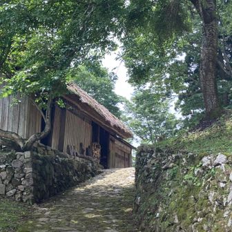 今庄３６５スキー場を出発して木の芽峠までやって来ました
まるでタイムスリップしたような石畳が残っている素敵な場所でした✨