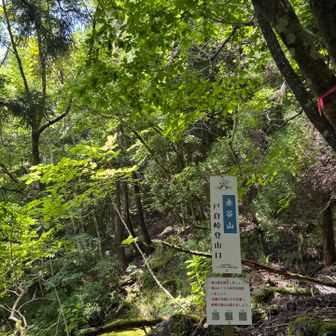 登山口