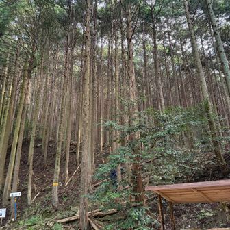 登山口