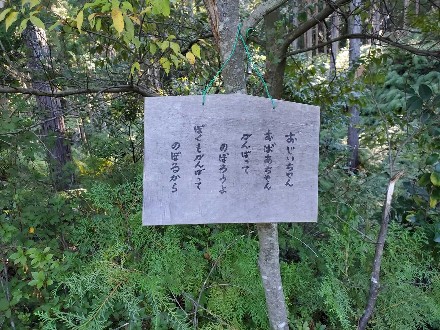 遠見山登山口-遠見山-権現山登山口-星神社-虚空蔵菩薩像- 周回コースの写真