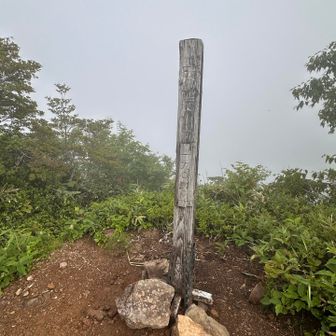そんなこんなで戸隠山登頂
ガッスガスで高妻山も全く見えません