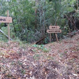 急登を登り終えると尾根道の鞍部の分岐に出た。