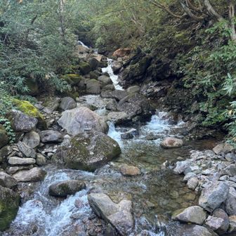 以前は歩けた川沿いの遊歩道は、歩道が壊れて現在通行止め🙅‍♀️