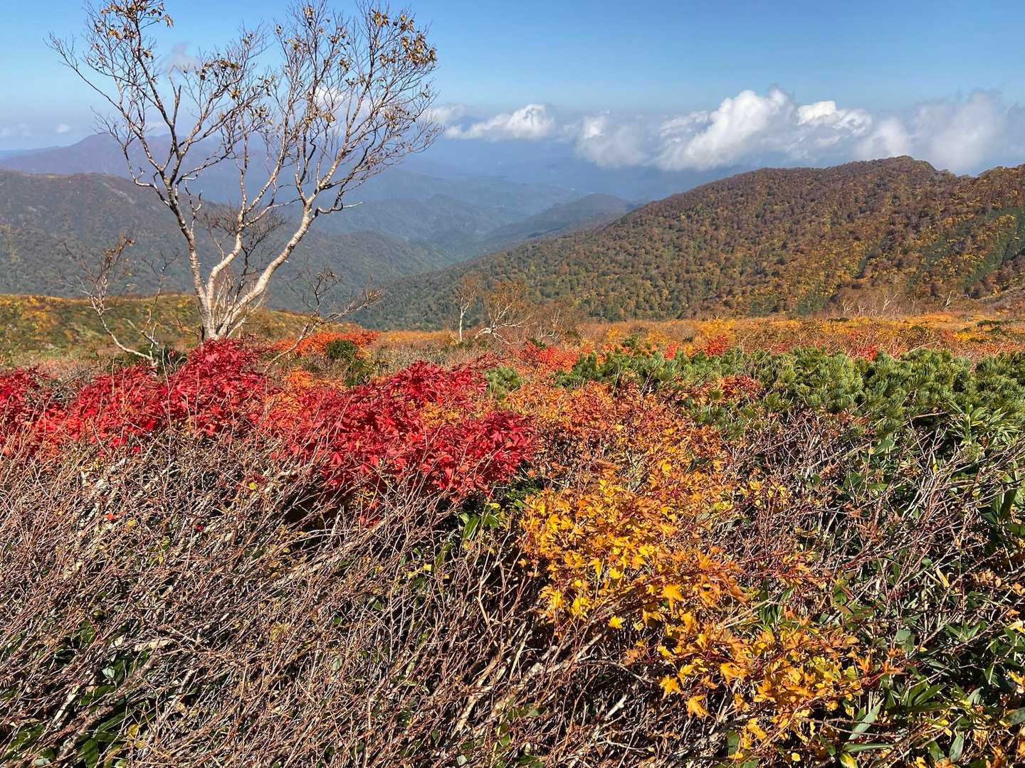 古寺山-古寺鉱泉登山口 縦走コースの写真