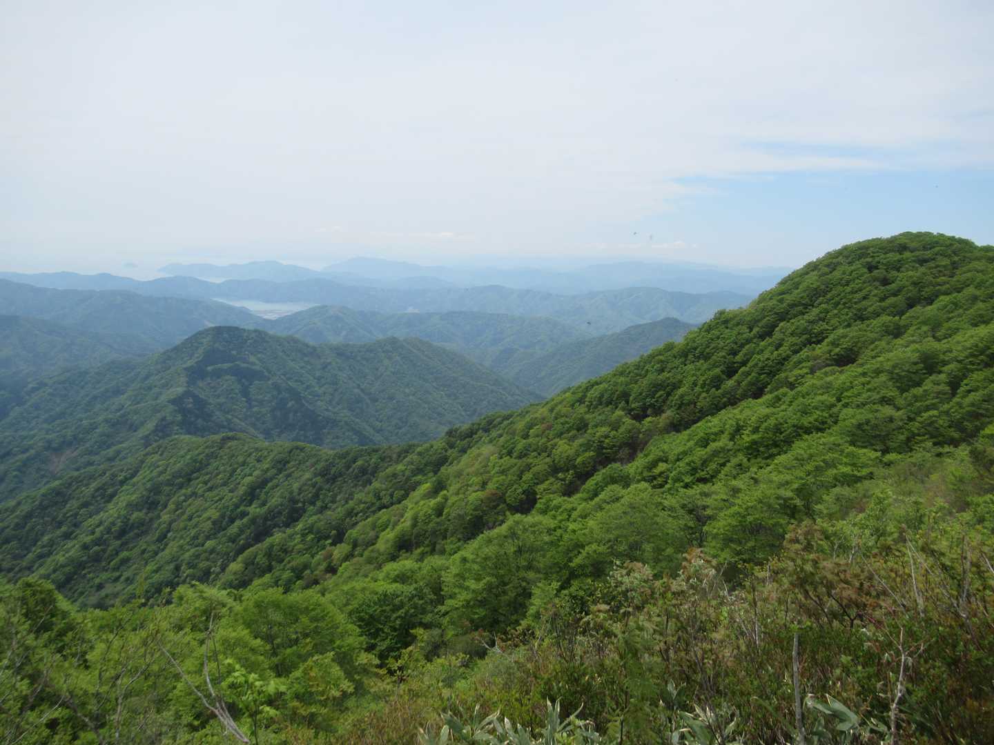 白谷登山口-エコチ谷登山口-鳥越峠-横山岳-横山岳-東尾根 周回コースの写真