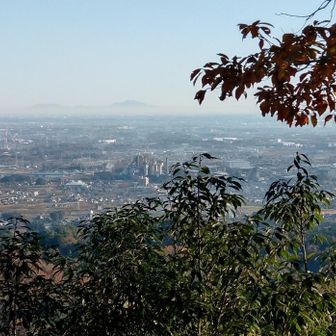 遠くに見えているのは筑波山だと思うのだけど・・・('ω')