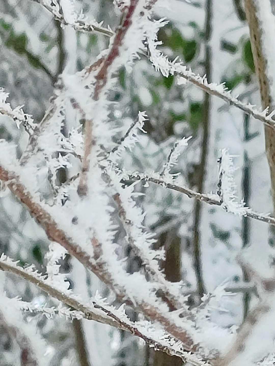 ❄