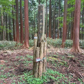 南葛城山