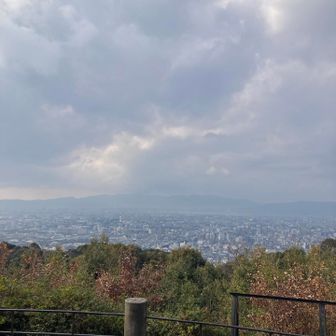 お喋りに夢中になってたらあっという間に東山山頂公園　まずは展望台へ