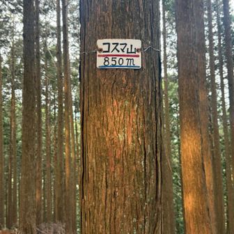 行ってみたけど、なーんもなかった