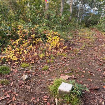 前山の三角点