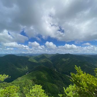 頂上手前の景色😍
