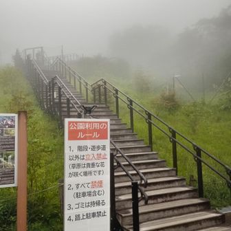 ようやくゴール