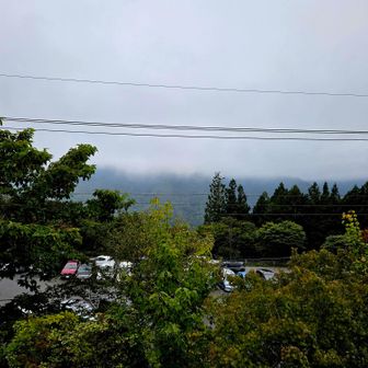 駐車場の上から📷まだまだ駐車場に入れない車が渋滞中💦