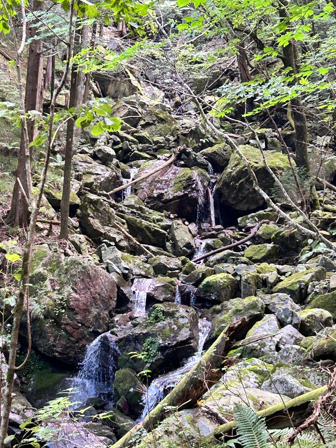 ずっと川沿いを進み途中左岸右岸と何度か渡ったり