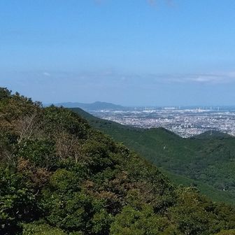 正面の山が、昨日登った田原アルプスでしょう