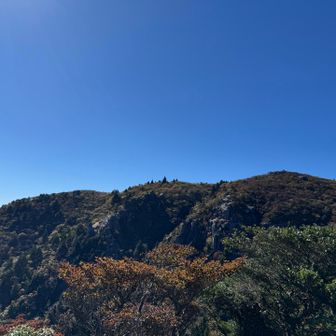 あっちの山に戻ります。