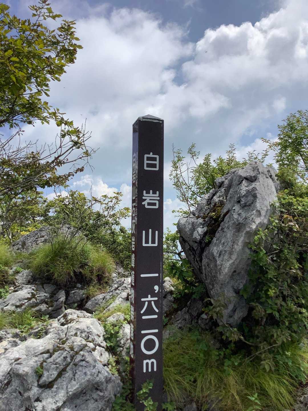 ゴボウ畑登山口-白岩峠-白岩山-向坂山 周回コースの写真