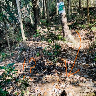 間違った道降りてきた。矢印から降りてこないとダメなのに。