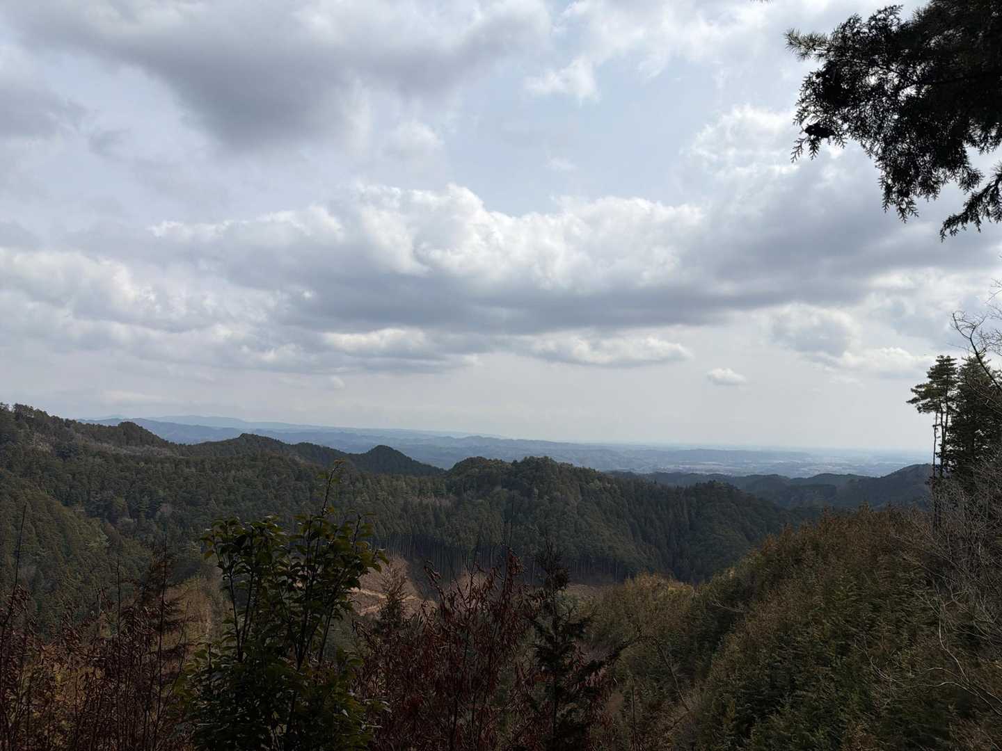 青麻山入口-青麻山 往復コースの写真