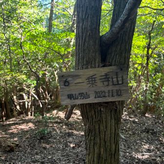 すぐに一乗寺山にも到着🐾
