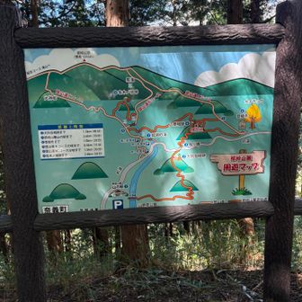 八巻山山頂の案内図
ここから、大別当山には行かずに出発地点の那岐山第3駐車場まで駆け降ります