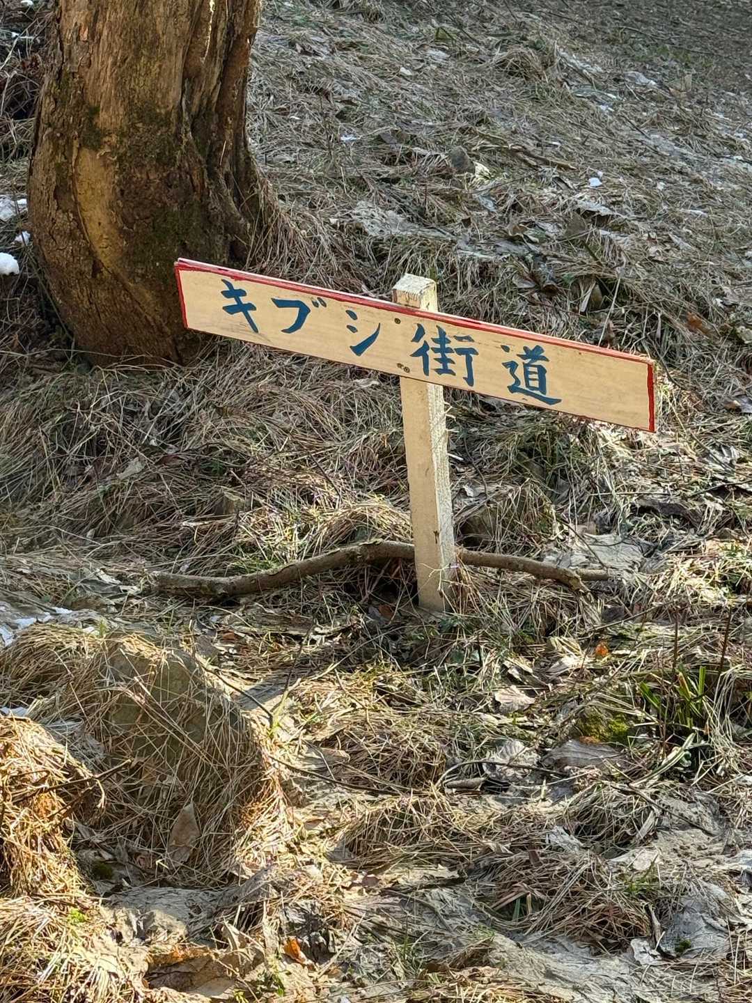 城山 往復コースの写真