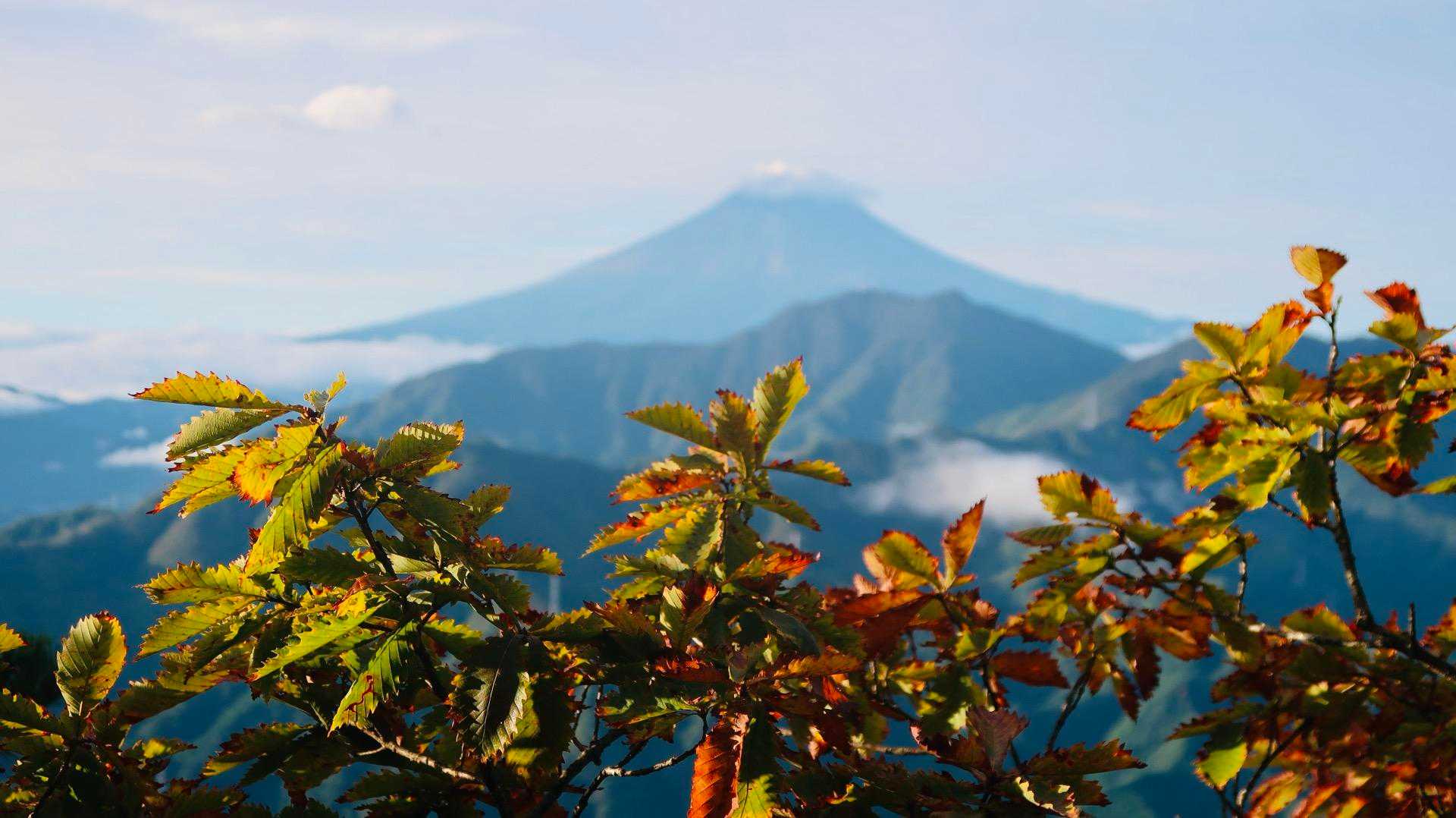 まだまだの紅葉だけどこんなんも良いかも。