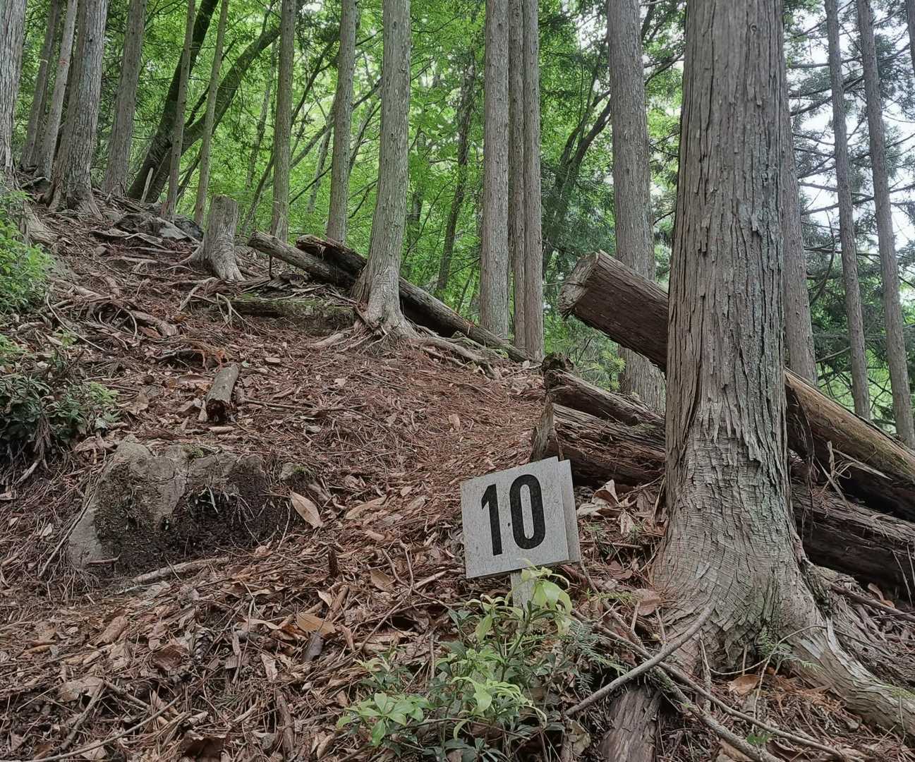 10番❣️