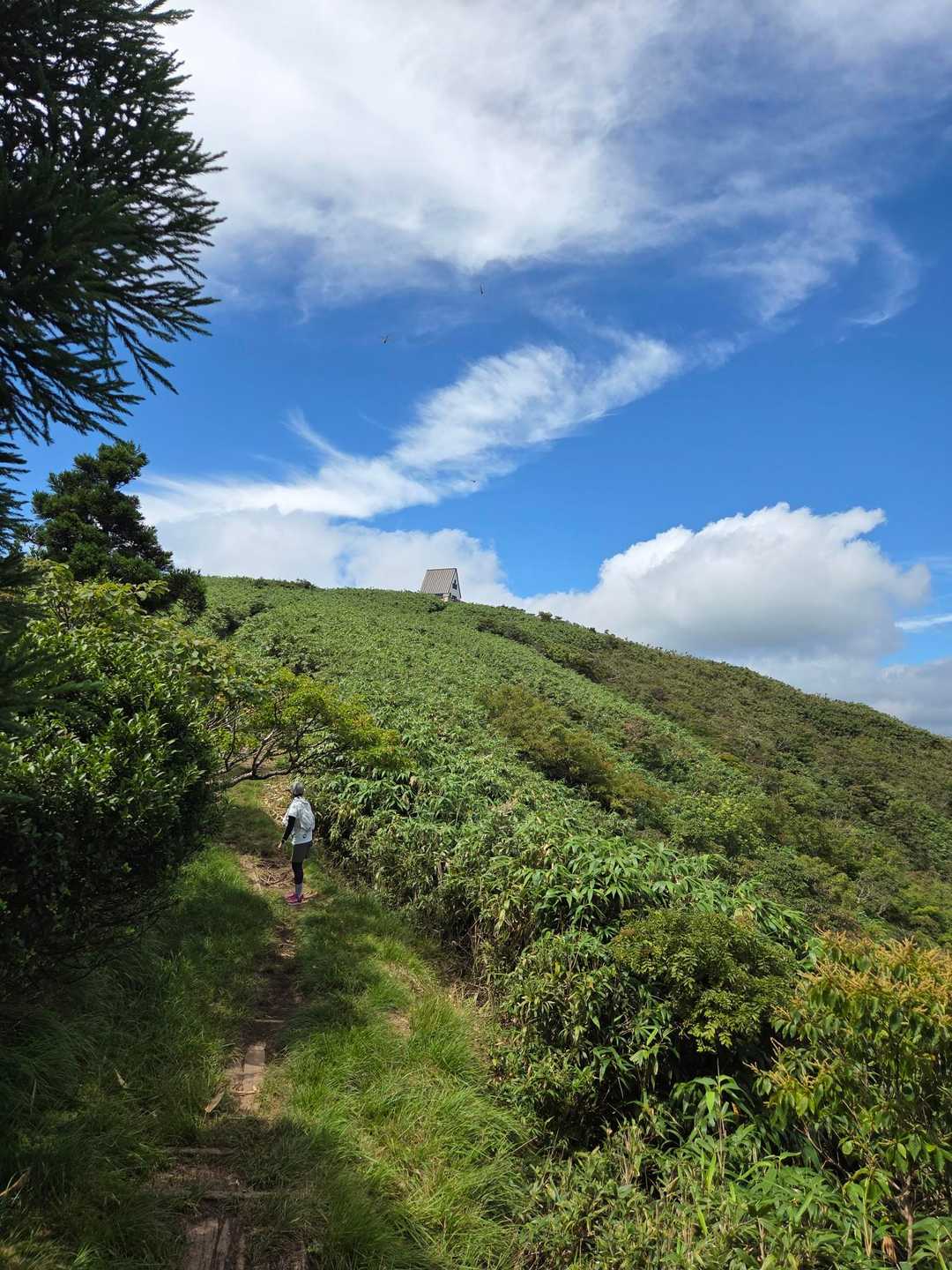 大段ヶ平登山口-氷ノ山 往復コースの写真