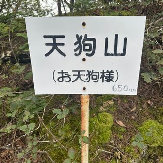 お天狗様山⛰️