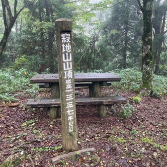 ちょっと幅の広い山道と背の低い熊笹を藪漕ぎ漕ぎしながら約４０分進むと寂地山山頂です。カタクリの自生地として有名なようで、足の踏み入れ禁止の看板が至る所に…ベンチとテーブルが２つ。だいたいこう言うのはボロボロになっていたり刷るのですが、標高表示柱と共にきちんとしていました（一方で…お社は崩落。たいまつの採火が行われた記念の石碑２つはしっかりとあるのに…次の国体の時にはまた整備されるのかな？）
山口県最高峰の寂地山、1,337m。ガスっており、木々も生い茂っているので、眺望は望めませんでした。