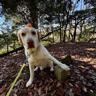 四等三角点『一本杉』
🍊乗せ＆タッチ🐾