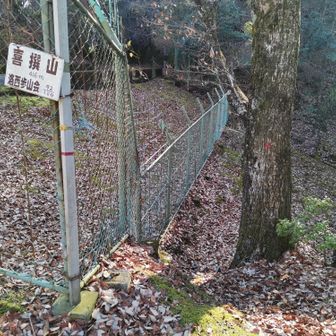 振り返って、フェンス横の取り付き