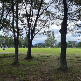 狭すぎず広すぎない公園いい感じ