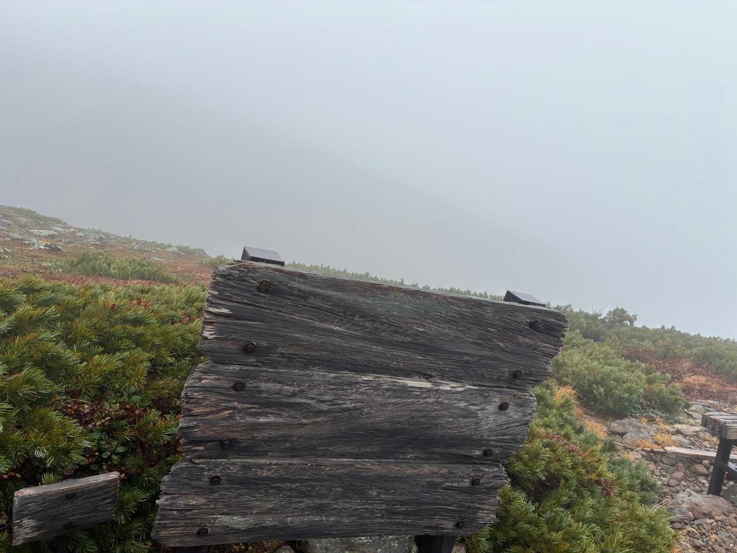ウラシマツツジ群生地とのこと　花の季節に来てみたい ここで寒くて雨具着用