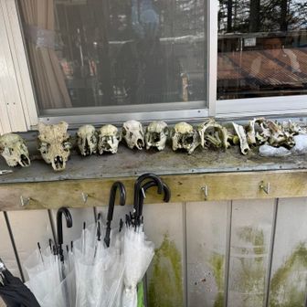 食後に気付いたから良かった😱