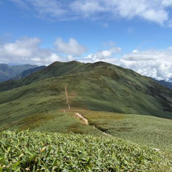 平標山から先の仙ノ倉山に続く稜線～