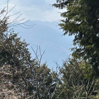 残念ながら富士山は見えません